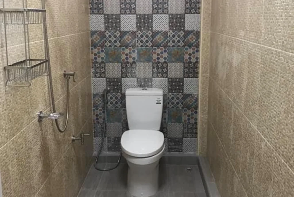 Before bathroom renovation