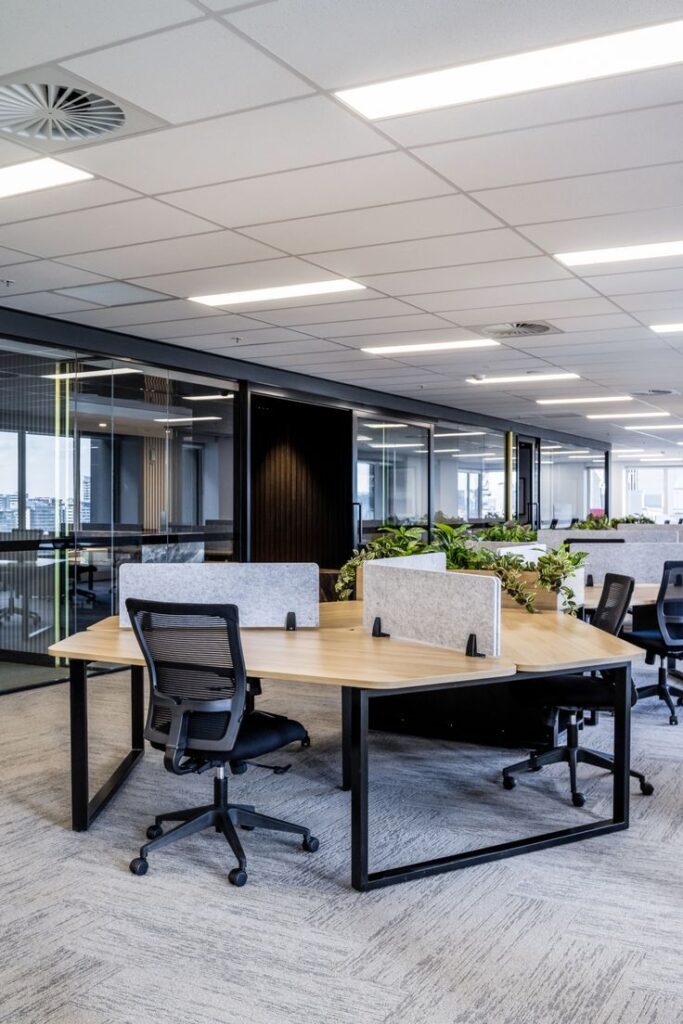 Modern office renovation