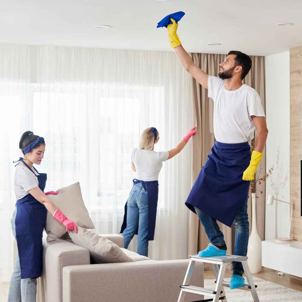 Customized Home Cleaning Services