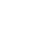 Inspection & Assessment